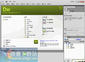 網頁制作與軟件開發常用工具指南
