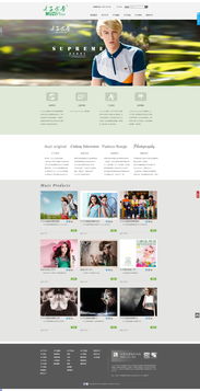 網(wǎng)頁(yè)設(shè)計(jì)與軟件開發(fā) 數(shù)字時(shí)代的兩大支柱